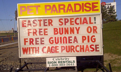 Free bunny or guinea pig with purchase of cage